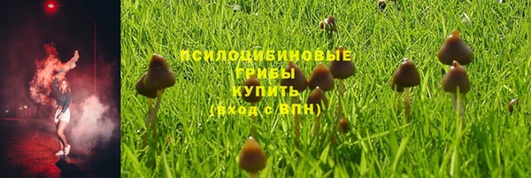 прущие крисы Липки