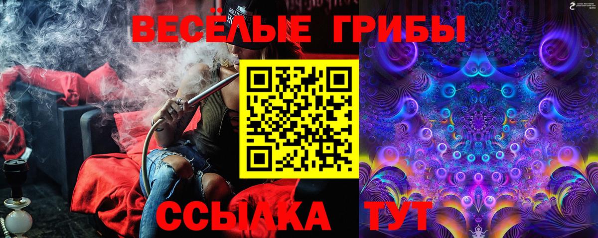 Сосновый Бор  как найти закладки  Вход с VPN  Псилоцибиновые грибы Cubensis 