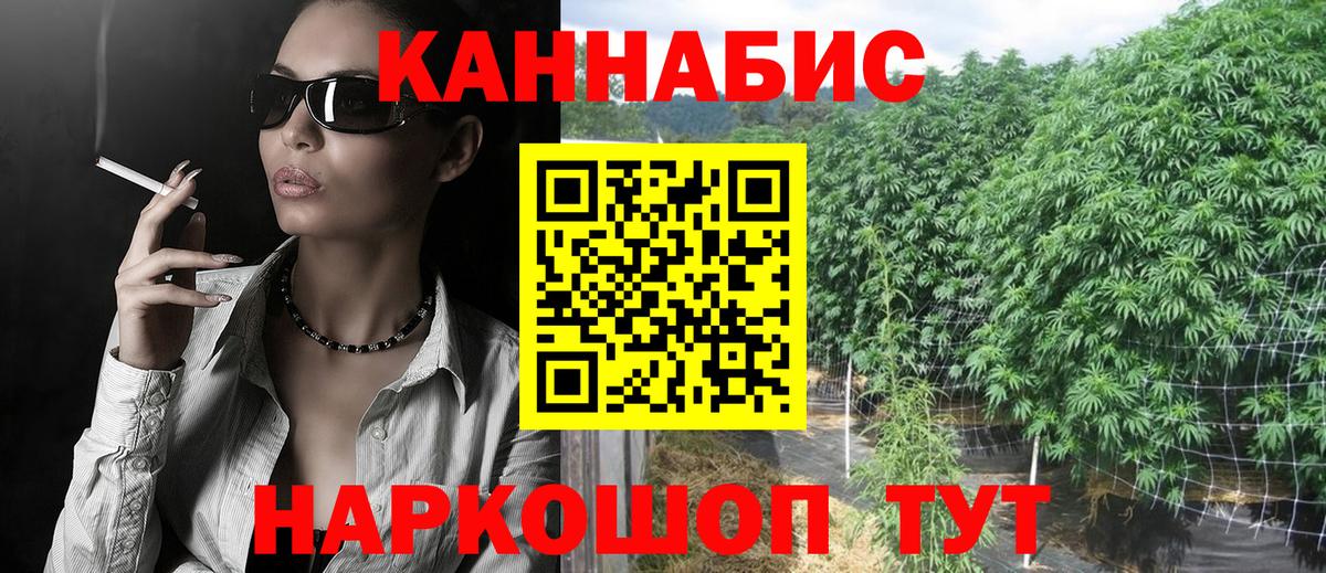 Канабис конопля Сосновый Бор